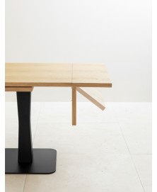 Gualtiero Table Miniforms img5