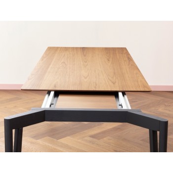 Mesa Decapo Miniforms Img3