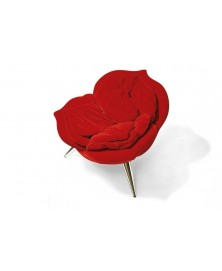 Rose Edra img1