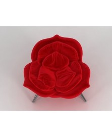 Rose Edra img2